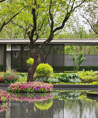 �ڴ����ó���ˮ���ӵ����١��ƻ�����ľ������