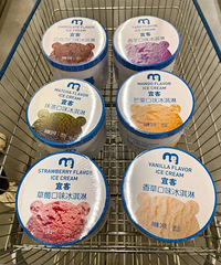 麦德龙冰淇淋哪个口味好吃?哪个口味最推荐
