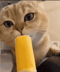 ֵ򡿰ζͯɹ69¶Ь19.8