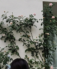 ֻҪ���ģ���û�������Ļ�