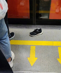 ����ͨ��ʵ¼���ϰ���Զ��֪�����°��Ҿ�����ʲô