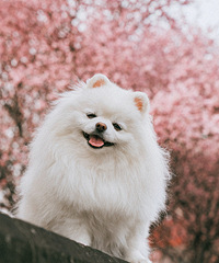 �۷۵Ĵ��죬��ȻҪ���հ�