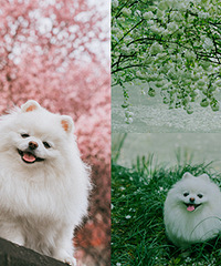 ���괺�����˺ö໨����С�������ĵ�