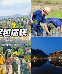 带娃住进亲子酒店,还能体验插秧