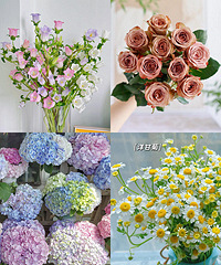 �ʻ���ѡ�ţ�3��39����