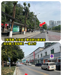 去中梁山搞点树莓|仙女指路