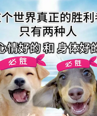 ǿ���Ƽ���������������������Ļ���񫣡������ø����