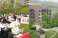 ��̫���棡��ȥ�μ�´�ý��Ǵ��齫Ӯ��ҵ����