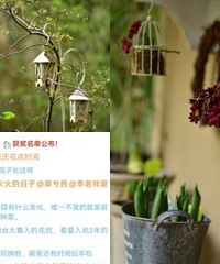 得奖啦!我家入坑5年的阳台小花园