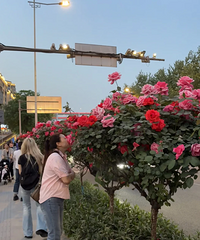 ����·�м������ϵ���ʲô���أ����󳬱������Ż��е�������