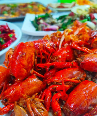 �ֵ���Ϻ��