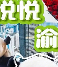 重庆动物园两只大熊猫抵达无锡