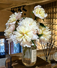 ԭ�����챾�ؾ�����ҩ��