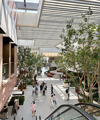 ������֣������Һ�İ����B�����ֲ����������