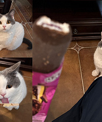 ֱ�����������ǳԣ���Ե���ȫд������