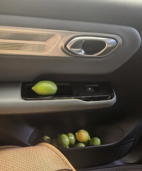 �ĸ���Ը����������Լ�����ϳ����ڲ��ǳ��ޱ�ζ��