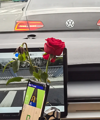 �ĸ���Ը����������Լ����˭�����ֽ��ѣ��ϳ����ڲ��ǳ��ޱ�ζ��