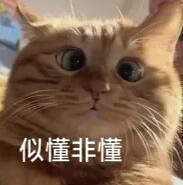 现在流行穿“风火轮”?重庆娃儿们疯狂迷上碳板鞋