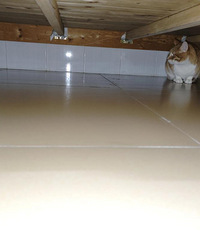 С��ɨ�ػ�H40ʹ��һ��ʹ�ø��ܷ��������˱�ʾ���ǲ�����