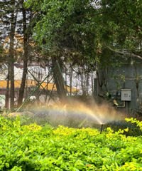 ���Ͼ���������ˣ�������ͨ������ɣ������泩��