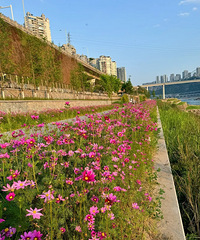 �����������ĸ�ɣ�����ɱ���ˣ�·��+ʵ��