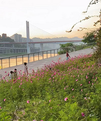 �����������ĸ�ɣ�����ɱ���ˣ�·��+ʵ��