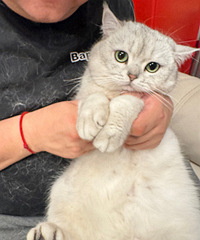 һ��һ����ë��������ô��