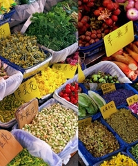 ���ϳԻ��ļ��ڵ��ˣ�����������Ĵ���