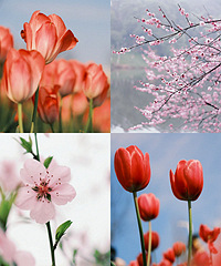 ����Ļ���û�Ĺ���������