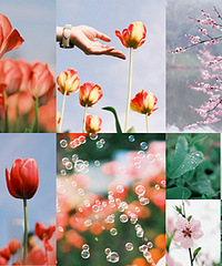 ����Ļ������һ�û���Ĺ�����������