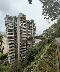 ������ɫ������ס18¥����ͣ������̨�ߡ�