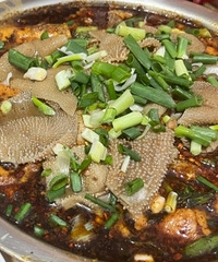 ����ȥ������һ�ҳ������Ƽ���˵�޺óԵ�������