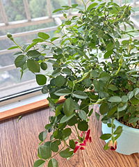 �����¼��쿪�ˣ����ǵ���