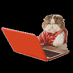 ֵ361Ůʽٸt32ˮзɹ29