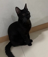 ��è�ܵ����а������ĵ���