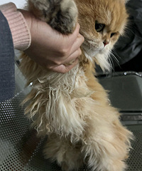 ��èȥ��Խӻ�����һ����