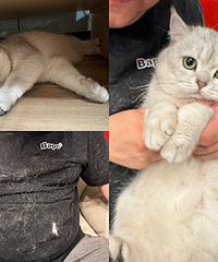 ��������ë�ÿ��Ű�������Ի�ë����