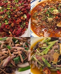 被朋友按头种草的店,超爱这家辣子肥肠