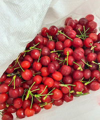 ���ǳ�ӣ�ҵļ����������������ӣ���Ѿ�����������