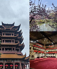 周末2天游武汉,这样安排相当完美