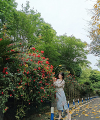 90年162CM药品行业的小姐姐征婚,希望对方40岁以内