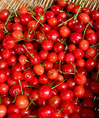 �������Ƕ��Զ��Ҷ�����