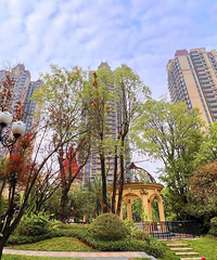 ������ͳǣ��ֳ���������