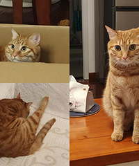 ��è��ÿ�춼�ܿ��֣�������ֱֵ������