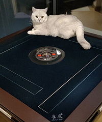 �����������Ȼ�������齫