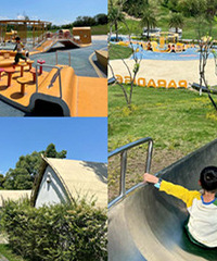 ������Ѷ�ͯ��԰���ܻ�����¶Ӫ������