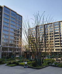 ��ֵ�������壬��װ��԰�����ĸ���÷�