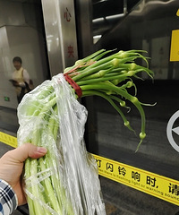 买了一把蒜苔,像这样中年男生轻轨上买菜回家的应该及其少数吧