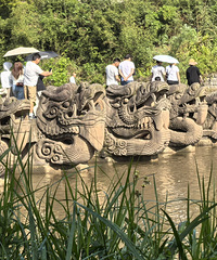 去泸州宜宾乐山眉山安岳吧丨喝99一瓶的五粮液