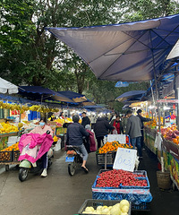 ����һ������������������